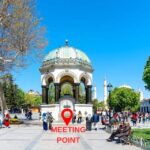 Best of Istanbul: Private Guided Istanbul Tour - What Travelers Say About This Tour