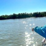 Best of Marco Island Dolphin Tour - Analyzing the Value