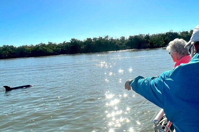 Best of Marco Island Dolphin Tour - Analyzing the Value