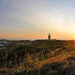 Best of Martha's Vineyard 1-Day Tour from Boston MA - The Sum Up: Who Should Book This Tour?