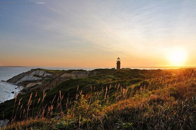 Best of Martha's Vineyard 1-Day Tour from Boston MA - The Sum Up: Who Should Book This Tour?