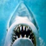 Best of Martha's Vineyard 3 hour Full-Island Tour - A Closer Look at the Itinerary and Highlights