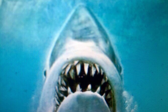 Best of Martha's Vineyard 3 hour Full-Island Tour - A Closer Look at the Itinerary and Highlights