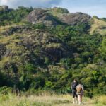 Best of Nadi Highlights - Final Thoughts on Value and Experience