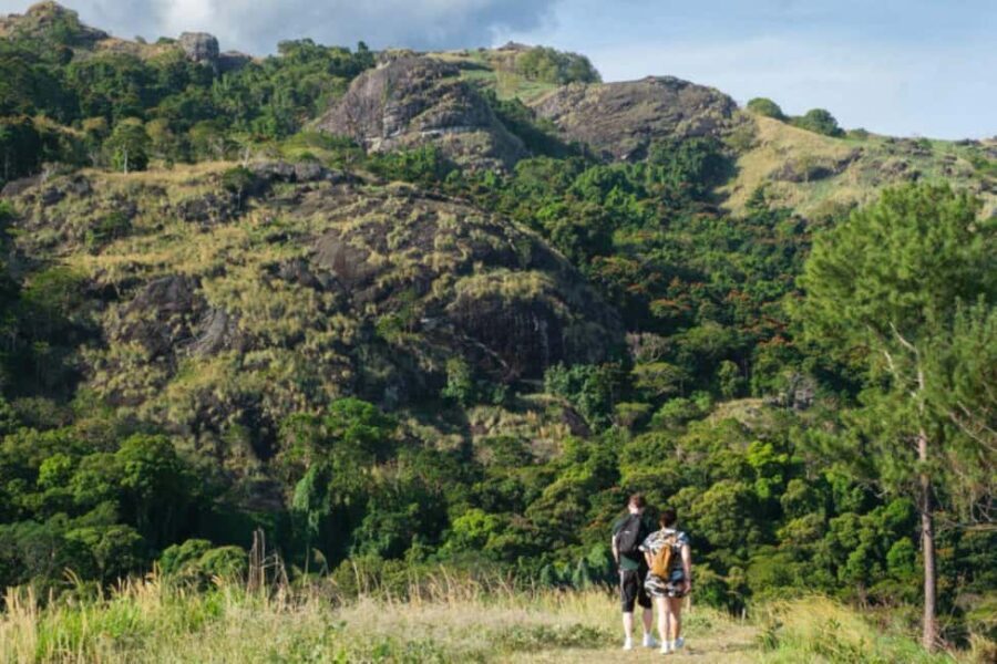 Best of Nadi Highlights - Final Thoughts on Value and Experience