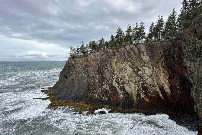 Best of Nova Scotia: Full-Day Private Luxury Tour - Who Is This Tour Best Suited For?