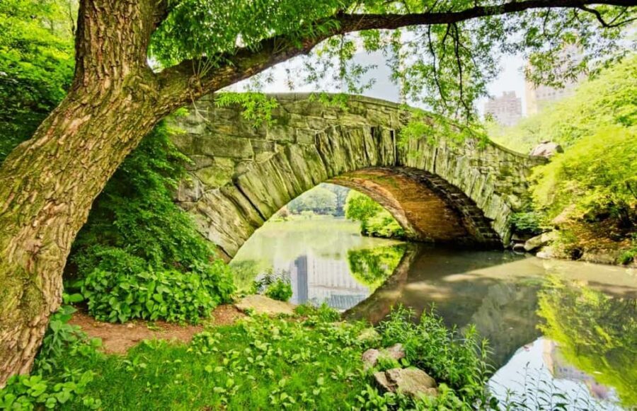 Best of NYC:Explore Central Park by Bike or Scooter (1 Hour) - Frequently Asked Questions