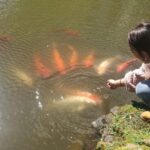 Best of São Miguel 2 Days Private Tour - The Value of This Tour
