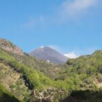 Best of Sicily in 1 Day: Volcano Etna, Naxos Bay, Taormina and Castelmola - FAQs About the Sicily Day Tour