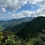 Best of the Smokies Custom Private Tour - Who Would Love This Tour?