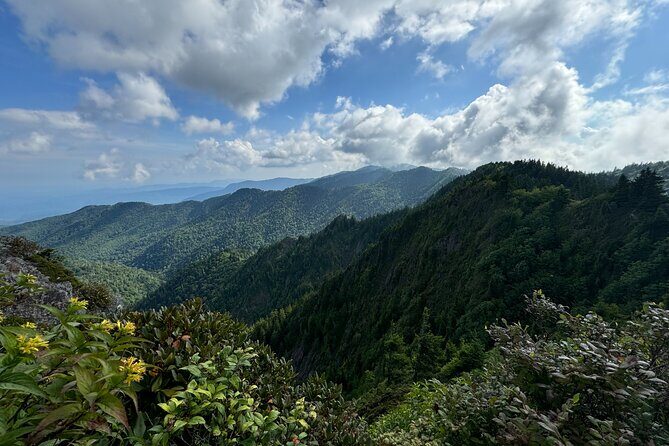 Best of the Smokies Custom Private Tour - Who Would Love This Tour?