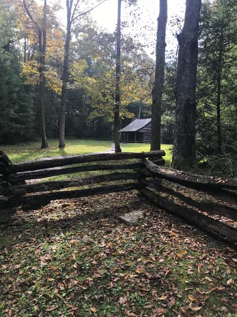 Best of the Smokies Private Half-Day Tour with Picnic Lunch - Key Points