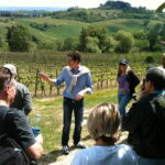 Best of Tuscany Private Tour: Siena, San Gimignano, Monteriggioni - Authentic Insights from Travelers