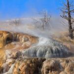 Best Of Yellowstone Full Day Nat'l Park Tour From Bozeman - What Makes This Tour Stand Out?