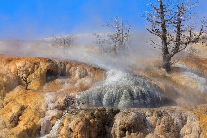 Best Of Yellowstone Full Day Nat'l Park Tour From Bozeman - What Makes This Tour Stand Out?