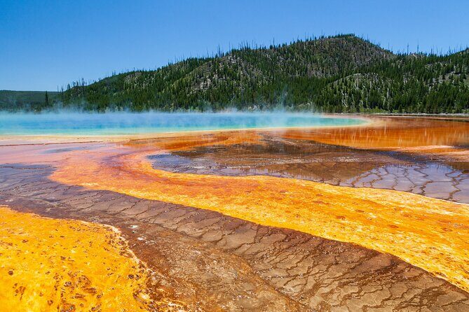 Best of Yellowstone Guided Tour from Bozeman - Private Tour - Who Should Choose This Tour?