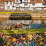 Best Photoshoot in Canterbury - What Makes the Photoshoot Special?