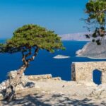Best Rhodes Tour with Wine Tasting Experience from Cruise Port - What the Reviews Reveal