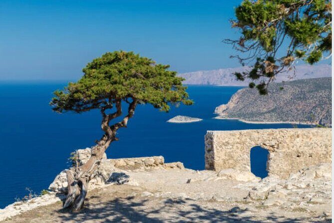 Best Rhodes Tour with Wine Tasting Experience from Cruise Port - What the Reviews Reveal