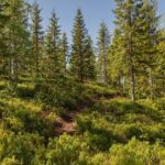 Best View of the Oslofjord Hike - The Sum Up
