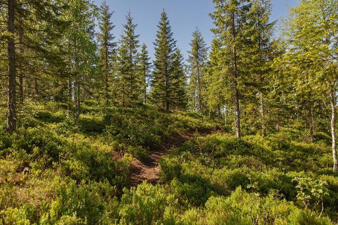 Best View of the Oslofjord Hike - The Sum Up