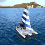 Best Waikiki Whale Watching in Honolulu: Whales Guaranteed - Why This Tour Offers Great Value