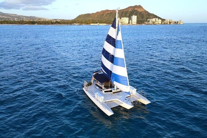 Best Waikiki Whale Watching in Honolulu: Whales Guaranteed - Why This Tour Offers Great Value