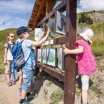 Betelberg: Marmot Trail with Interactive Play Stations - A Detailed Look at the Marmot Trail Experience