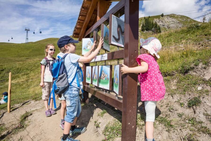 Betelberg: Marmot Trail with Interactive Play Stations - A Detailed Look at the Marmot Trail Experience