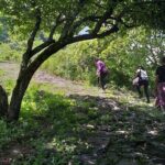 Between Tunnels and Bats - Why We Think This Tour Is Worth Considering