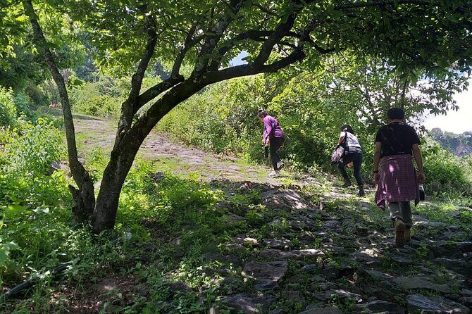 Between Tunnels and Bats - Why We Think This Tour Is Worth Considering