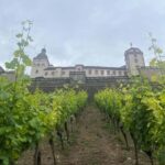 Between vineyards and a royal residence  enjoy Würzburg's wines with a view - FAQs