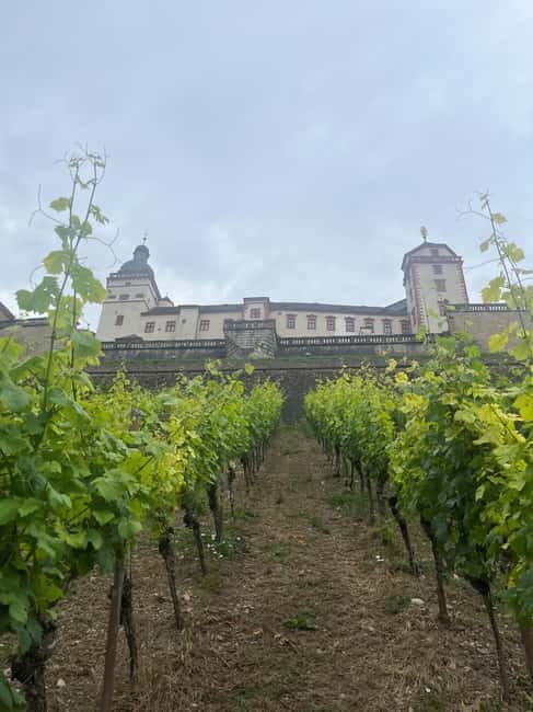 Between vineyards and a royal residence  enjoy Würzburg's wines with a view - FAQs