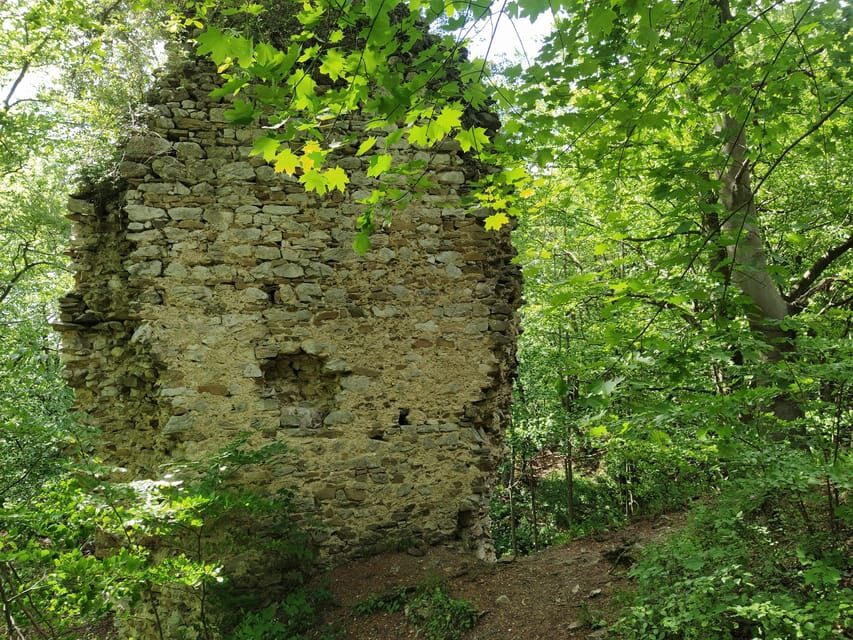 Beyond Brno: Secrets of Moravian Nature - Half-Day Tour - The Itinerary in Detail