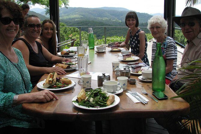 Beyond Byron Hinterland Tour - Final Thoughts: Is It Worth It?