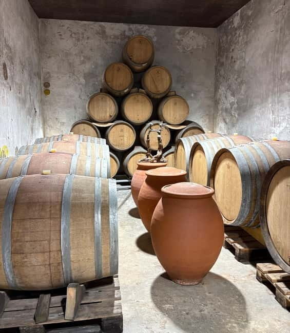 Béziers: Wine and Oyster Tasting Tour at Thau lagoon - Who Should Consider This Tour?