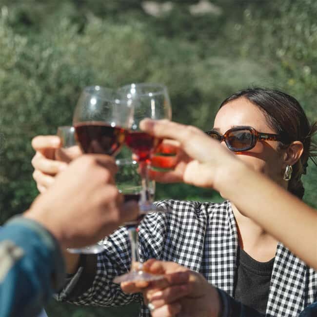 Béziers : Wine Tours & Wine tasting - What Makes This Tour Stand Out?