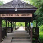 Bialowieza National Park Small Group Tour from Warsaw with Lunch included - What to Expect and Practical Tips