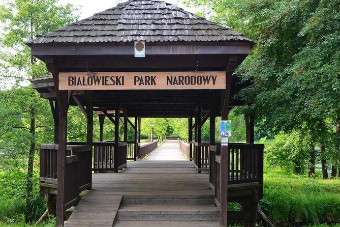 Bialowieza National Park Small Group Tour from Warsaw with Lunch included - What to Expect and Practical Tips