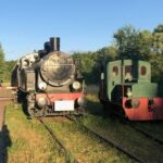 Biaowiea Forest Unesco World Heritage Tour Packages (Native English Speaker) - The Sum Up
