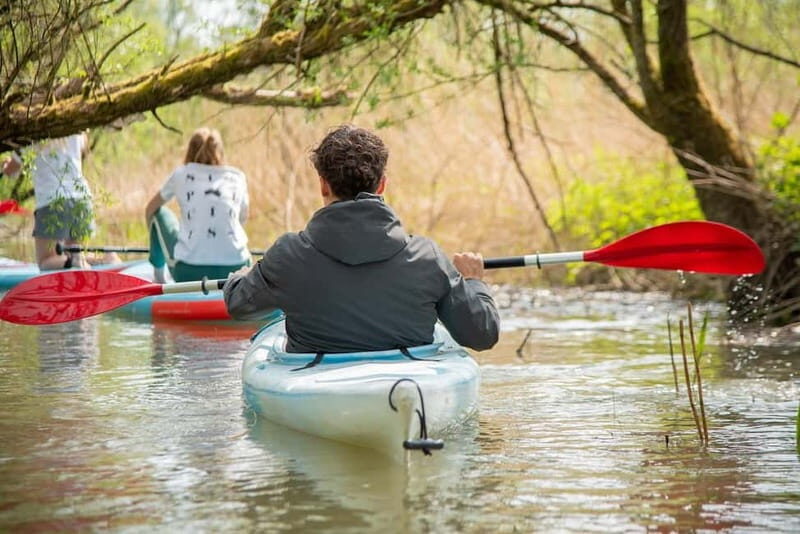 Biesbosch: Kayak Rental with Route Map and Life Jacket - Who Will Love This?