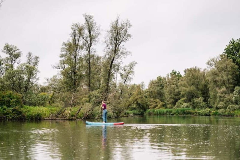Biesbosch: SUP Board Rental - Practicalities: What You Need to Know
