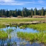 Big Bear Jeep off-road tour with Hike to Bluff Lake Reserve - Exploring Big Bear’s Hidden Gems: A Detailed Review