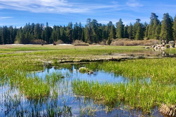 Big Bear Jeep off-road tour with Hike to Bluff Lake Reserve - Exploring Big Bear’s Hidden Gems: A Detailed Review