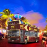 Big Bus Miami: Sightseeing Night Tour by Open-top Bus - Authentic Perspectives from Travelers