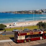 Big Bus Sydney and Bondi Hop-on Hop-off Tour - The Reviews Tell the Story