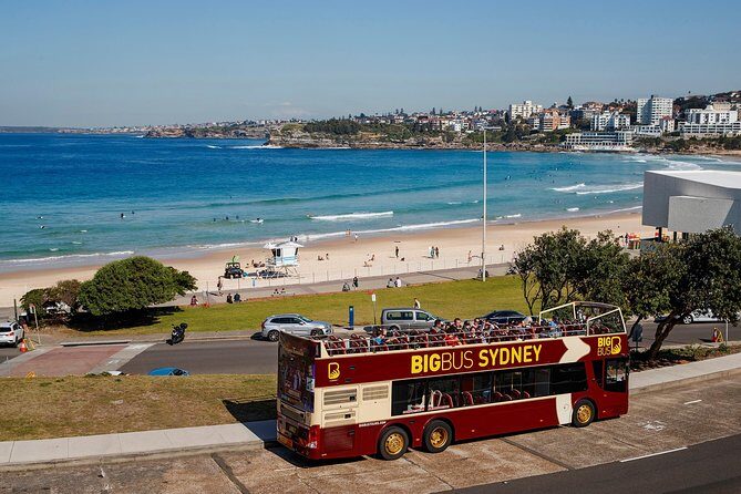 Big Bus Sydney and Bondi Hop-on Hop-off Tour - The Reviews Tell the Story