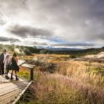 Big Hawaii: Private Guided Van Tour - Authentic Experiences and Review Insights