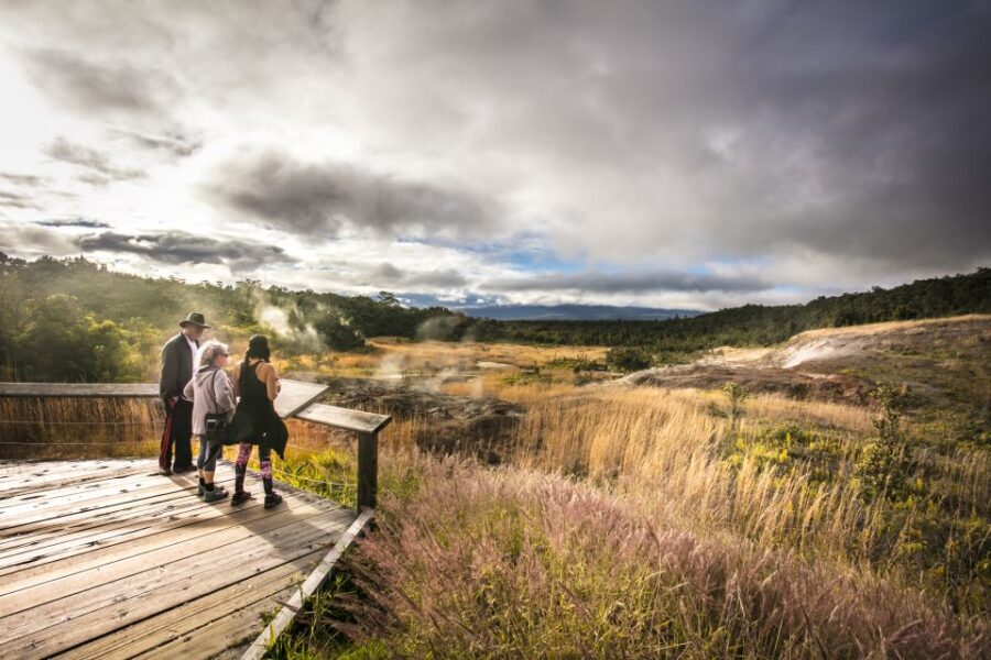 Big Hawaii: Private Guided Van Tour - Authentic Experiences and Review Insights