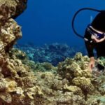 Big Island: 3 Hour Waikoloa Snorkeling & Sailing Adventure - Who Will Love This Tour?